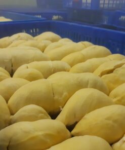 Fozen Durian